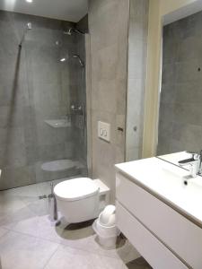 泰晤勒·苏尔·梅尔Apartment residence Arc en Ciel的浴室配有卫生间、淋浴和盥洗盆。