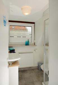 不莱梅Apartmenthaus Kornstrasse的一间带水槽和卫生间的浴室以及窗户。