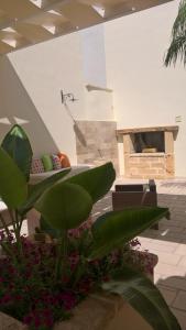 卡萨拉诺格拉底旅馆的带沙发和一些植物的客厅