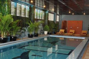 马德望国王风云酒店的一座种植了植物的游泳池