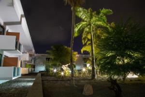 利伯维尔ONOMO Hotel Libreville的庭院里种有棕榈树,晚上有灯光