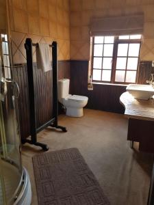 埃尔默洛Izimbali Lodge and Restaurant的一间带卫生间和水槽的浴室