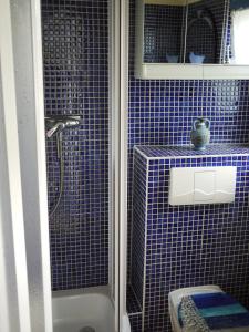 KamminkeFerienhaus Hendrikje的蓝色瓷砖浴室配有淋浴和卫生间。