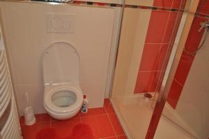 伏尔塔瓦河畔利普诺Moderni Domek Lipno的一间小浴室,在摊位设有厕所
