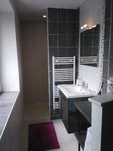 Saint-Mars-la-Jaille阿皮斯特客房旅馆的一间带水槽和镜子的浴室