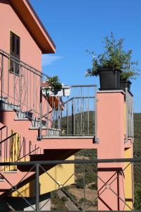 Nughedu Santa VittoriaB&B Tatti的一只狗站在一个粉红色建筑的阳台上