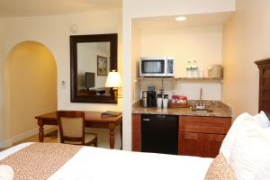 圣奥古斯丁海滩菲埃斯塔海洋套房酒店 的酒店客房带一张床和一个厨房