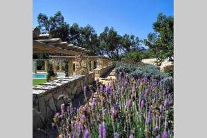 阿尔卡彼得克Villa Malveira的一座种有紫色花卉和石墙的花园