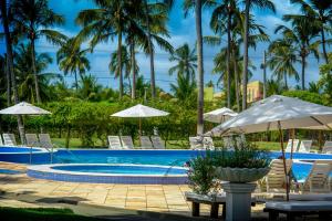 帕里普埃拉Fazenda Fiore Resort的一个带椅子和遮阳伞的游泳池以及棕榈树
