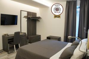维博瓦伦蒂亚Palazzo IrMa - Hotel - B&B Luxury的一间卧室配有一张床、一张书桌和一台电视。