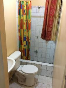 波特莫尔Leslies' Home的一间带卫生间和淋浴帘的浴室