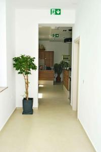 奥帕提亚Boutique Hotel Mali Raj的办公室里走廊上,地板上种植植物