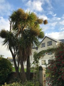 韦德布里奇SPRING GARDENS B&B的两棵棕榈树在房子前面