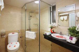 河内阿夸里欧斯大酒店的带淋浴、卫生间和盥洗盆的浴室