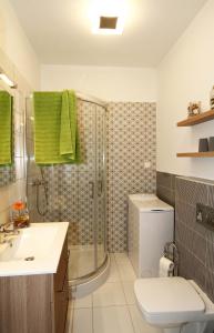 埃格尔Orchidea Apartman Eger的带淋浴、卫生间和盥洗盆的浴室