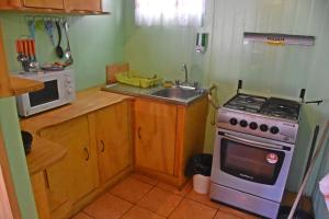 纳塔列斯港卡瓦尼亚斯巴塔哥尼亚英斯图公寓的厨房配有炉灶、水槽和微波炉