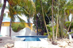克拉伦代克BnBBonaire near the ocean的棕榈树庭院内带滑梯的游泳池