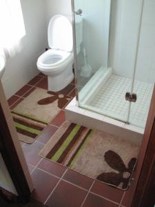 斯泰伦博斯Magnolia Place Guest Houses的一间带卫生间和玻璃淋浴间的浴室