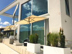 梅灵奥林格酒庄-公寓式酒店的一座带大玻璃窗和盆栽的房屋