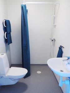 诺尔雪平Turistgårdens vandrarhem i Norrköping的一间带卫生间和水槽的浴室