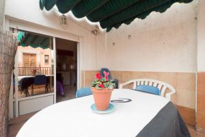 格拉纳达Hostel El Cascabel的上面有花盆的桌子