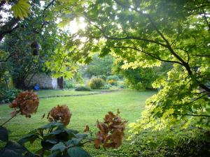 沙尔施塔特Silvia Krafts Bed and Breakfast的从树下可欣赏到花园景色