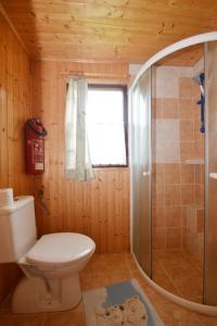 伏尔塔瓦河畔利普诺Lesní pension的一间带卫生间和淋浴的浴室