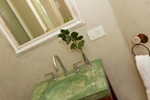 坦迪尔Hosteria Mi Casa en la Sierra的浴室设有水槽,上面有植物