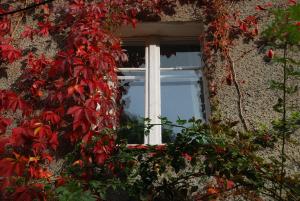 拉德库夫Noclegi nad Pośną的石头建筑中一扇红色叶子的窗户
