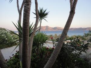 考弗尼西亚Anemomylos Houses的从两棵棕榈树之间欣赏到海景