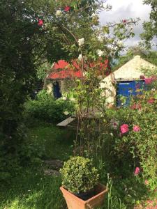 博里斯Corriebeg Cottage的花盆花园,房子