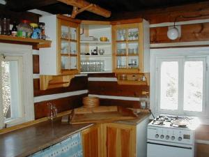 霍尔马拉帕霍斯卡查塔巴斯尼卡度假屋的厨房设有木墙、炉灶和窗户。