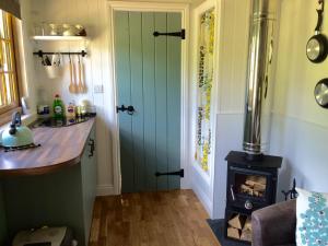 DarowenMid Wales Luxury Huts的厨房设有绿门和炉灶。