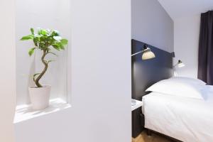 波尔多Studio luxe hyper centre piscine的窗户窗台上种植植物的卧室