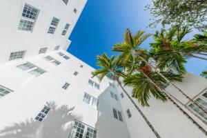 迈阿密海滩美人酒店的享有棕榈树白色建筑的景致。