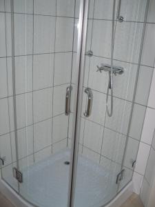 布劳恩拉格松嫩沙因公寓的浴室里设有玻璃门淋浴