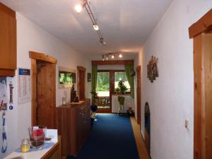 索尔登Alpenspirit的厨房的走廊上铺有蓝色地毯