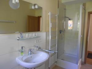 弗莱堡Quartier 1的浴室配有盥洗盆和带镜子的淋浴