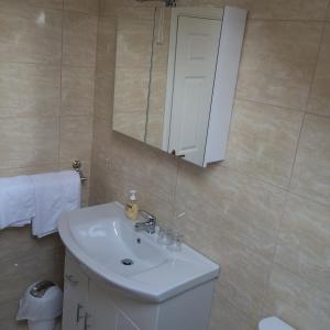 纽波特Greenway View B&B的浴室设有白色水槽和镜子