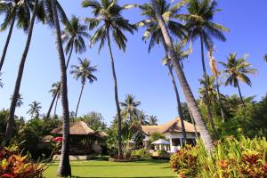 Kubutambahan肯巴厘别墅酒店 的一群棕榈树在房子前面