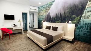 瓦哈卡市Life Hotel的一间卧室配有一张床、一张书桌和一台电视。