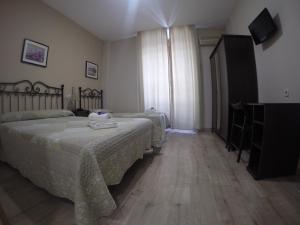 马德里埃尔皮拉尔旅馆的一间卧室配有两张床和一台平面电视