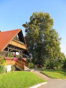 Šoštanj阿佩特乡间民宿的一座房子,上面有鲜花甲板