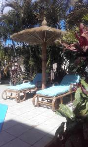 IvatoAvamada Lodge的庭院设有两把躺椅和一把遮阳伞