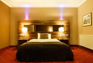 萨尔茨堡萨尔茨堡酒店的一间卧室配有一张大床,两盏灯