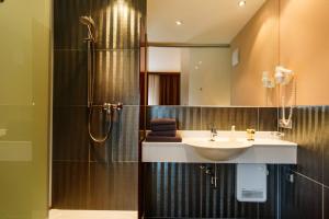 萨尔茨堡萨尔茨堡酒店的一间带水槽和淋浴的浴室
