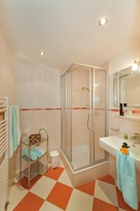 佩特诺伊阿尔贝格Haus Birgit的带淋浴和盥洗盆的浴室