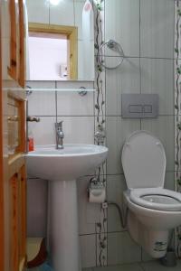 帕塔拉杰特酒店的一间带水槽和卫生间的小浴室