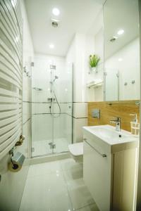 克拉科夫克拉科夫老城区MJZ公寓的带淋浴、卫生间和盥洗盆的浴室