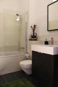 柏林Berlin Apartments Mitte的浴室配有卫生间、盥洗盆和淋浴。